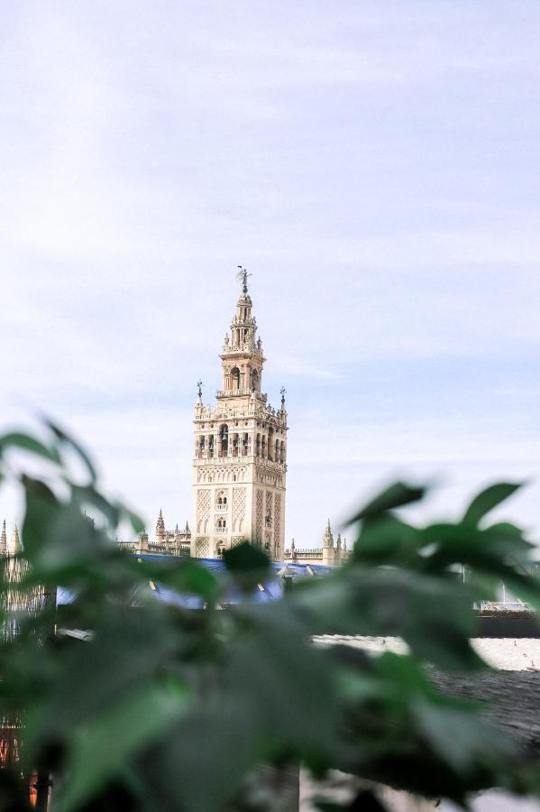 Alohamundi Catedral Διαμέρισμα Σεβίλλη Εξωτερικό φωτογραφία